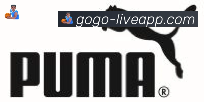 GOGO体育官网合作伙伴